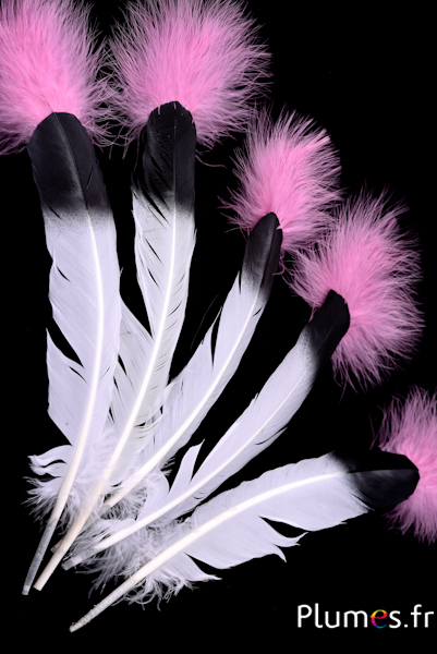 Oie - Plume indienne - 30-35 cm - pointe noir-rose ancien